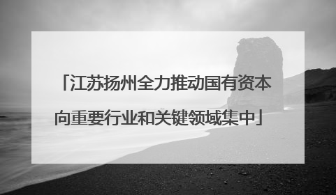 江苏扬州全力推动国有资本向重要行业和关键领域集中