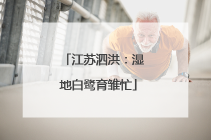江苏泗洪：湿地白鹭育雏忙