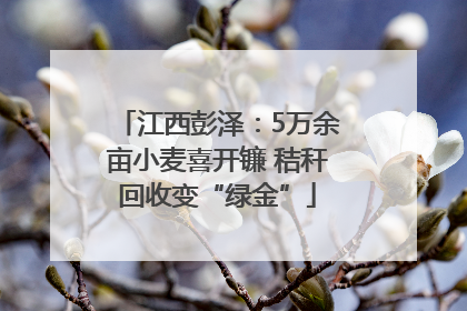 江西彭泽：5万余亩小麦喜开镰 秸秆回收变“绿金”