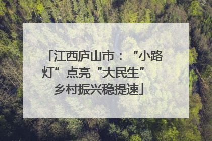 江西庐山市：“小路灯”点亮“大民生” 乡村振兴稳提速