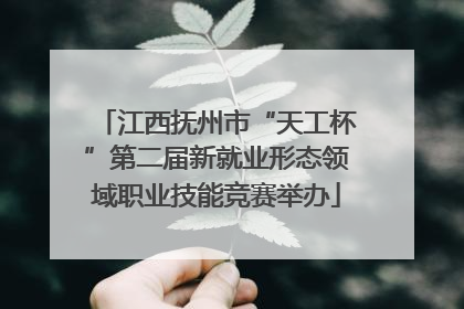 江西抚州市“天工杯”第二届新就业形态领域职业技能竞赛举办