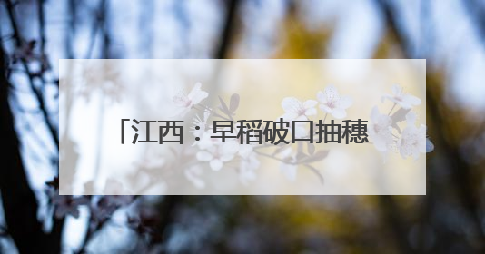江西：早稻破口抽穗 统防统治防病虫
