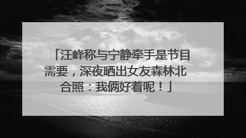 汪峰称与宁静牵手是节目需要，深夜晒出女友森林北合照：我俩好着呢！