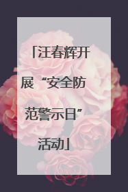 汪春辉开展“安全防范警示日”活动