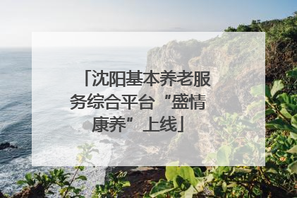 沈阳基本养老服务综合平台“盛情康养”上线