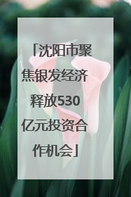 沈阳市聚焦银发经济释放530亿元投资合作机会