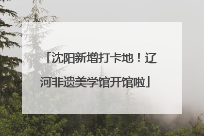 沈阳新增打卡地！辽河非遗美学馆开馆啦