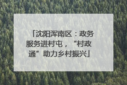 沈阳浑南区：政务服务进村屯，“村政通”助力乡村振兴