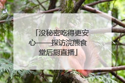 没秘密吃得更安心——探访浣熊食堂后厨直播