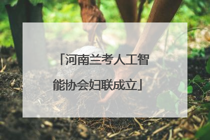 河南兰考人工智能协会妇联成立