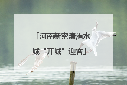 河南新密溱洧水城“开城”迎客