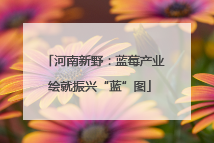 河南新野：蓝莓产业绘就振兴“蓝”图