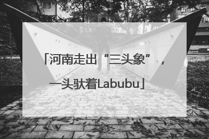 河南走出“三头象”，一头驮着Labubu