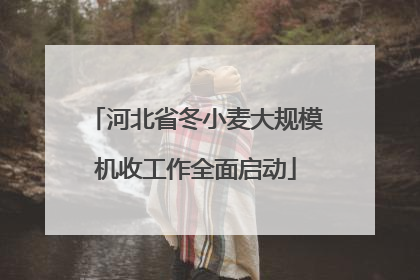 河北省冬小麦大规模机收工作全面启动