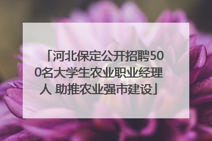 河北保定公开招聘500名大学生农业职业经理人 助推农业强市建设