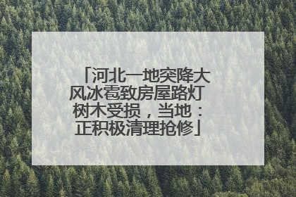 河北一地突降大风冰雹致房屋路灯树木受损，当地：正积极清理抢修