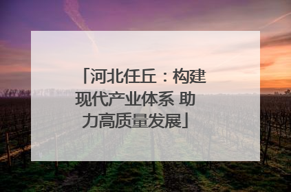 河北任丘：构建现代产业体系 助力高质量发展