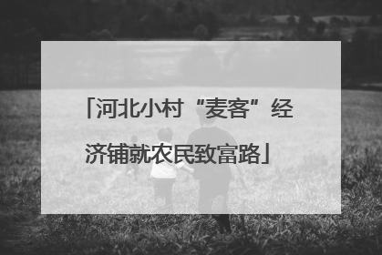 河北小村“麦客”经济铺就农民致富路