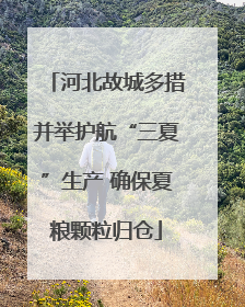 河北故城多措并举护航“三夏”生产 确保夏粮颗粒归仓