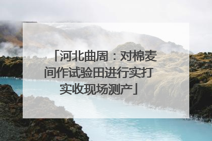 河北曲周：对棉麦间作试验田进行实打实收现场测产