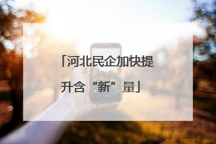 河北民企加快提升含“新”量
