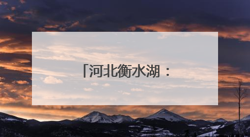 河北衡水湖：近万只夏候鸟进入繁殖期