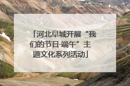河北阜城开展“我们的节日·端午”主题文化系列活动