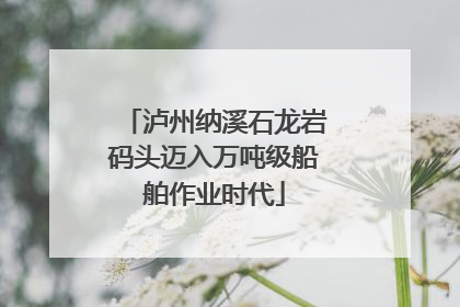泸州纳溪石龙岩码头迈入万吨级船舶作业时代