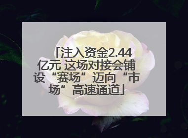注入资金2.44亿元 这场对接会铺设“赛场”迈向“市场”高速通道