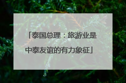 泰国总理：旅游业是中泰友谊的有力象征