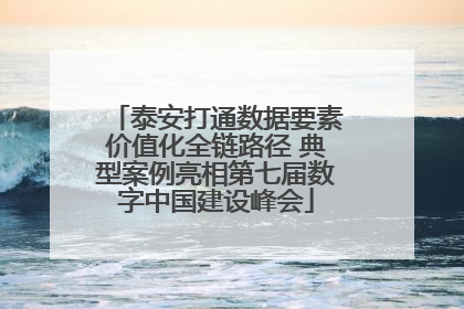 泰安打通数据要素价值化全链路径 典型案例亮相第七届数字中国建设峰会