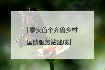 泰安首个齐鲁乡村国债服务站建成