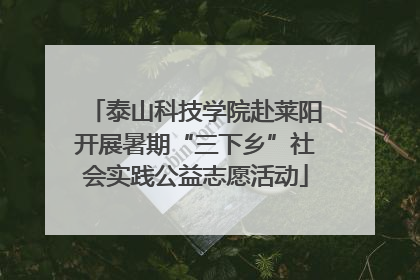 泰山科技学院赴莱阳开展暑期“三下乡”社会实践公益志愿活动