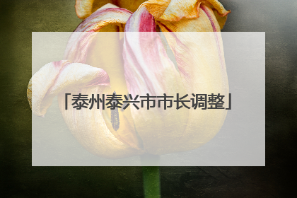 泰州泰兴市市长调整