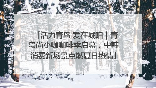 活力青岛 爱在城阳｜青岛尚小咖咖啡季启幕，中韩消费新场景点燃夏日热情