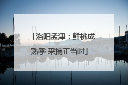 洛阳孟津：鲜桃成熟季 采摘正当时