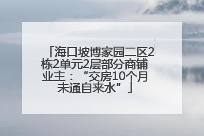 海口坡博家园二区2栋2单元2层部分商铺业主：“交房10个月未通自来水”