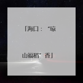 海口：“琼山福稻”香