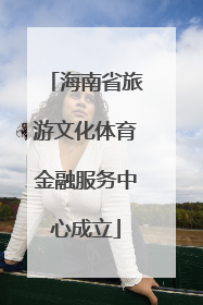 海南省旅游文化体育金融服务中心成立