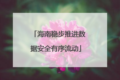海南稳步推进数据安全有序流动