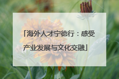 海外人才宁德行：感受产业发展与文化交融