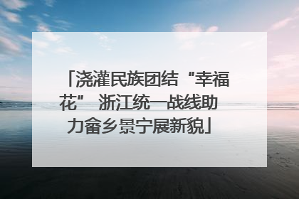 浇灌民族团结“幸福花” 浙江统一战线助力畲乡景宁展新貌