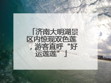 济南大明湖景区内惊现双色莲，游客直呼“好运莲莲”