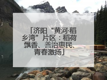 济阳“黄河·稻乡湾”片区：稻荷飘香、善治惠民、青春激扬