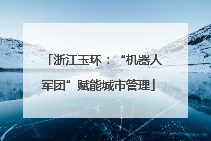 浙江玉环：“机器人军团”赋能城市管理