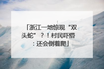 浙江一地惊现“双头蛇”？！村民吓懵：还会倒着爬