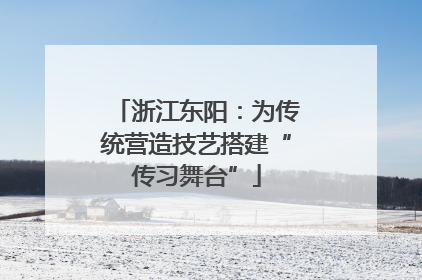 浙江东阳：为传统营造技艺搭建“传习舞台”