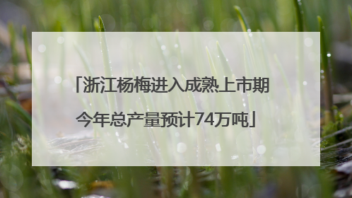 浙江杨梅进入成熟上市期 今年总产量预计74万吨