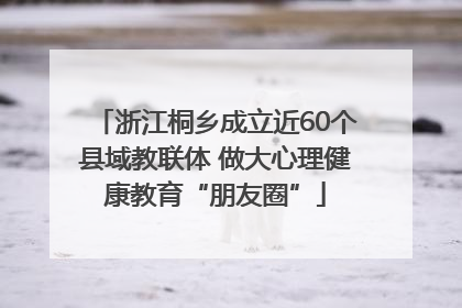 浙江桐乡成立近60个县域教联体 做大心理健康教育“朋友圈”