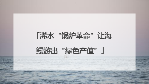 浠水“锅炉革命”让海鳗游出“绿色产值”